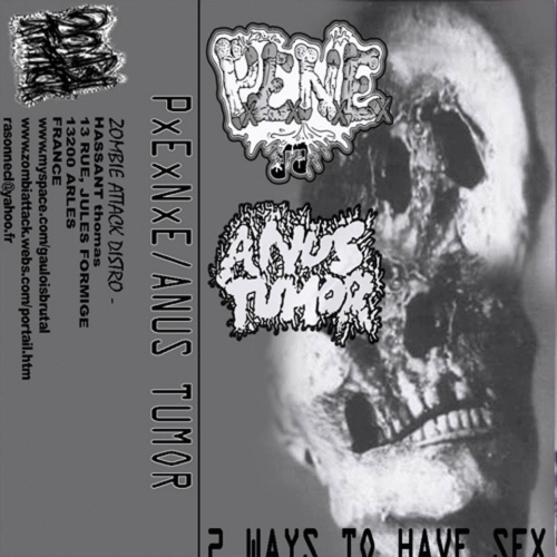 PxExNxE : 2 Ways to Have Sex